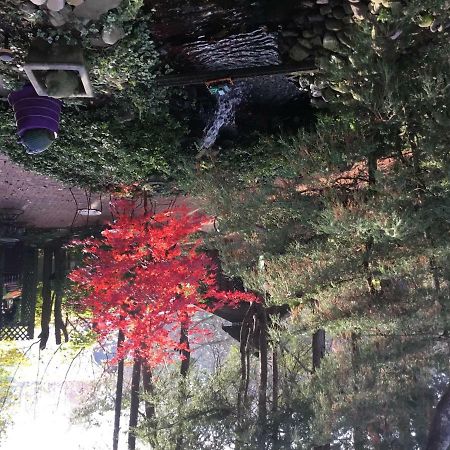 White Birches Inn Abingdon Εξωτερικό φωτογραφία